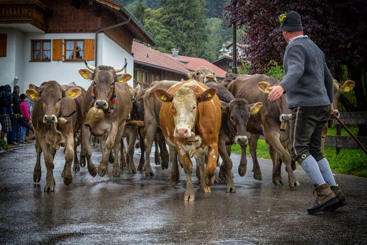 Ferienwohnung Zobl Füssen Kültér fotó